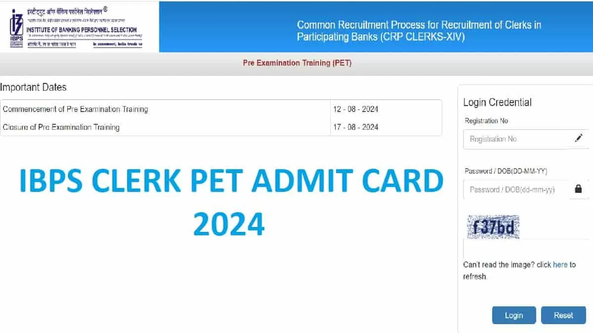 IBPS Clerk Admit Card 2024 Download