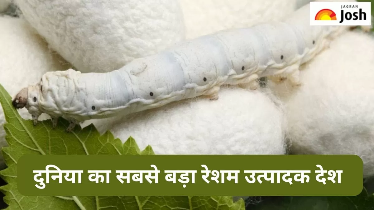 सबसे बड़ा रेशम उत्पादक देश