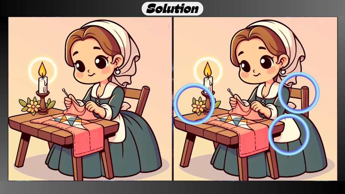 Spot 3 Differences Between Embroidery Pictures in 25 Seconds