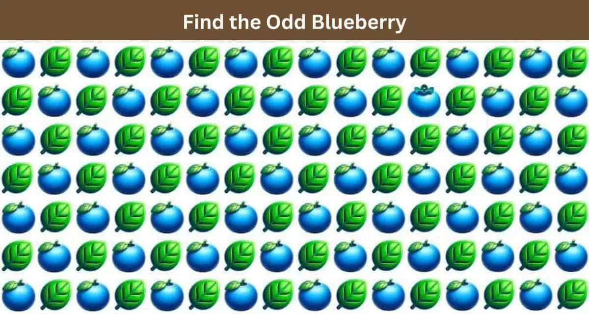 Find the odd blueberry