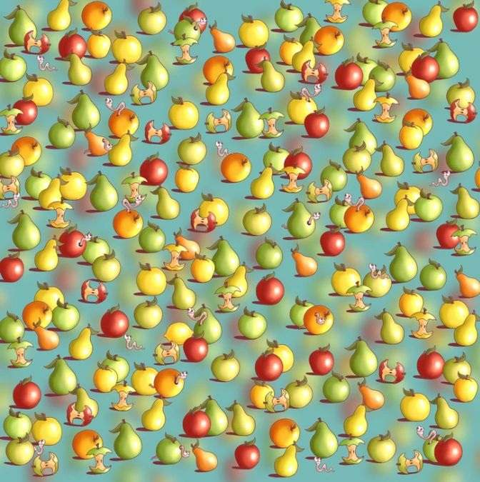 hidden optical illusions