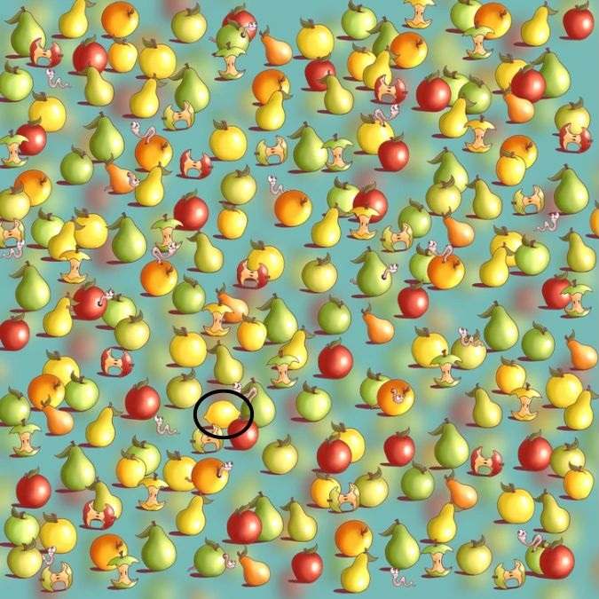 hidden optical illusions