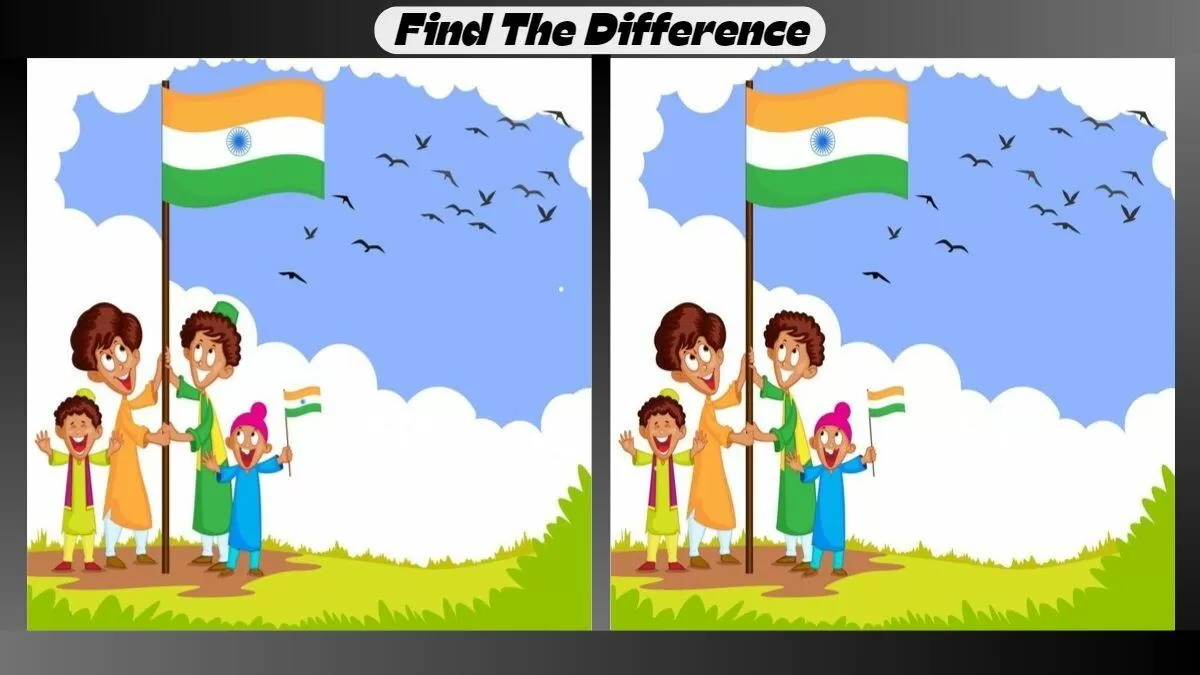 Independence Day 2024 Find 3 Differences in 25 Seconds in This Indian