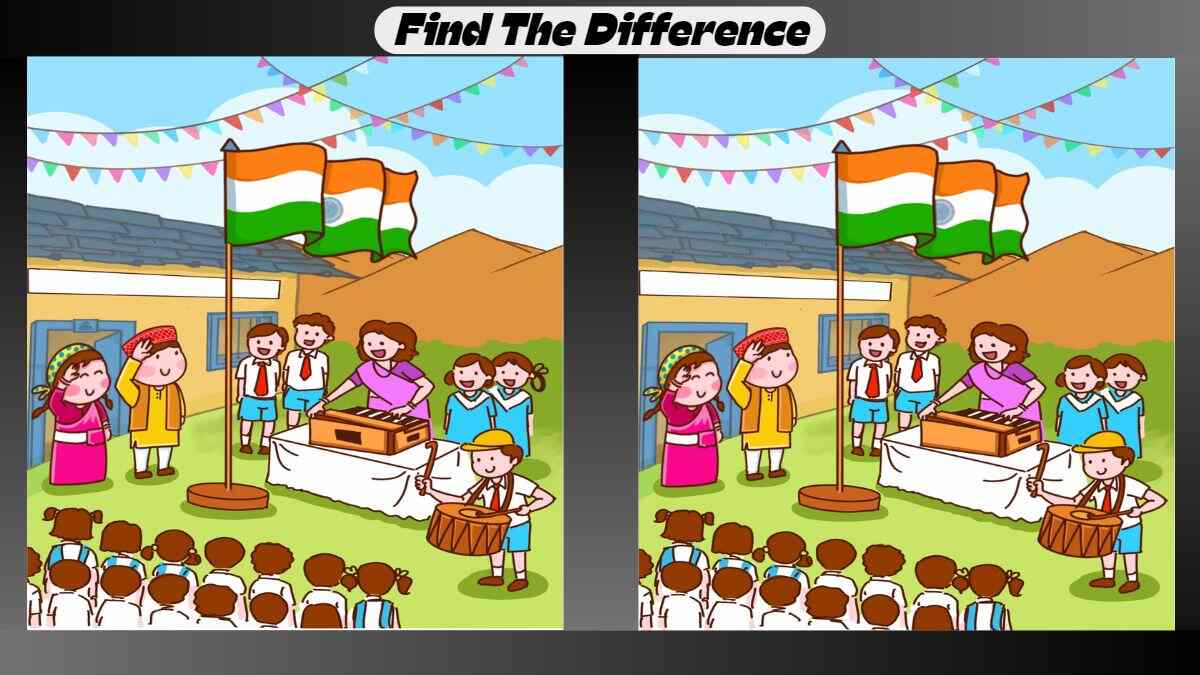 Spot 3 Differences Between Indian Flag Pictures in 26 Seconds