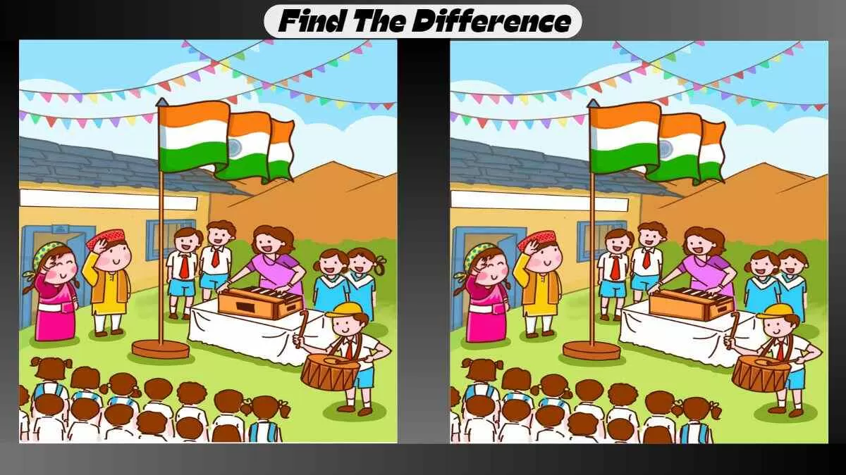 Find 3 Differences in 25 Seconds in This Indian Flag Picture