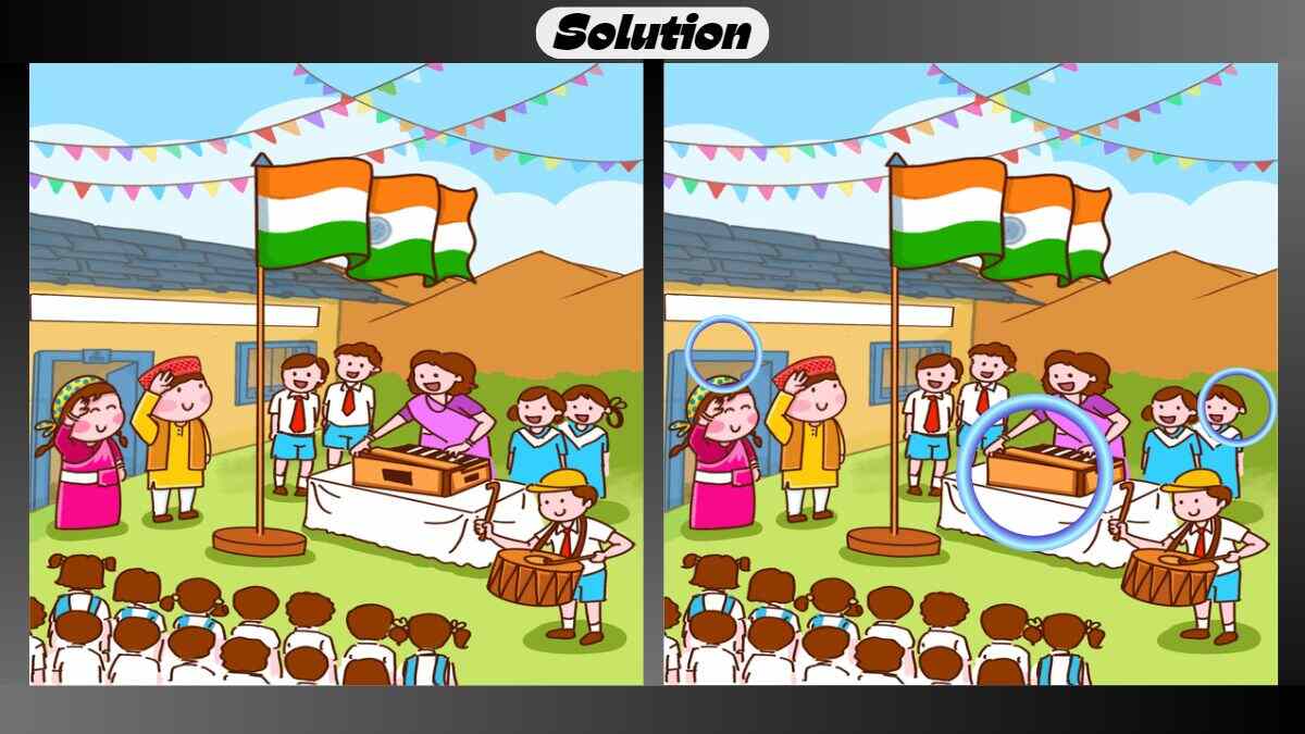Find 3 Differences in 25 Seconds in This Indian Flag Picture