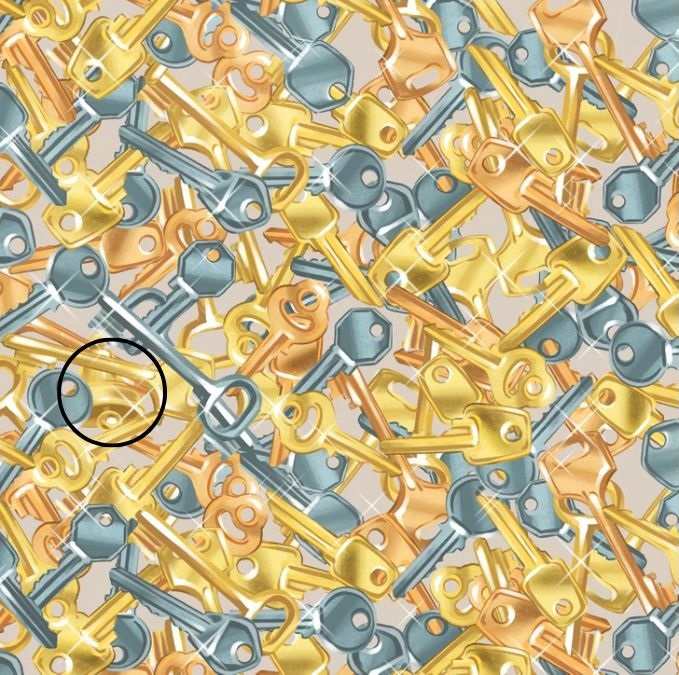 hidden optical illusions