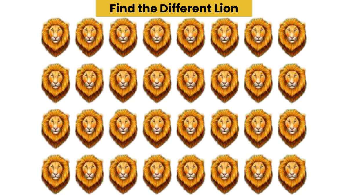 Visual Skill Test: Find the different lion in the picture in 6 seconds!