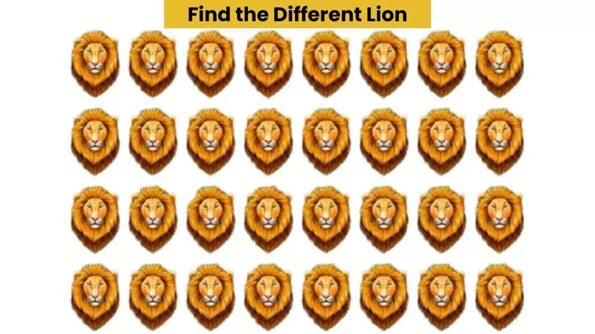 Find different lion in 6 seconds