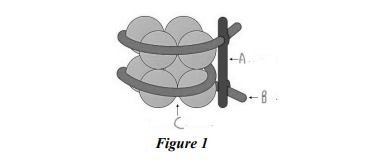 sample of a term papers