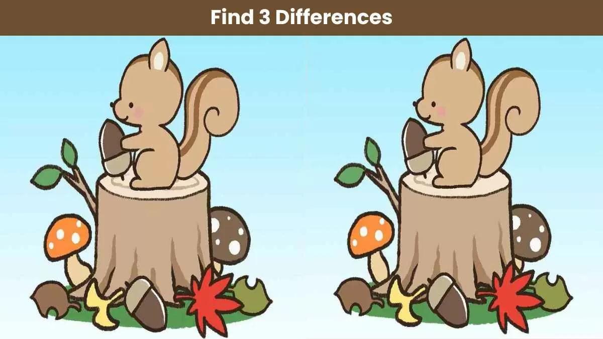 Find 3 differences in 10 seconds