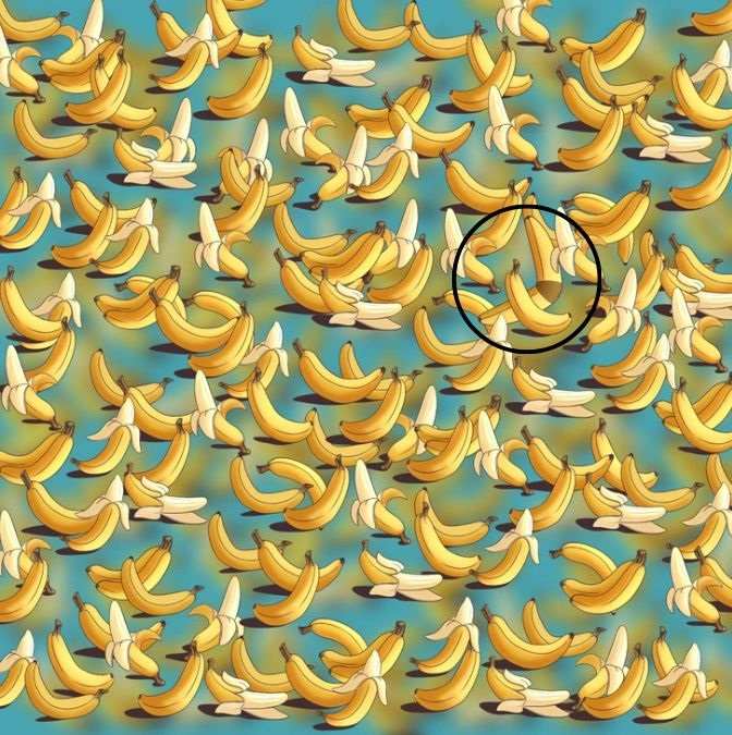 hidden optical illusions