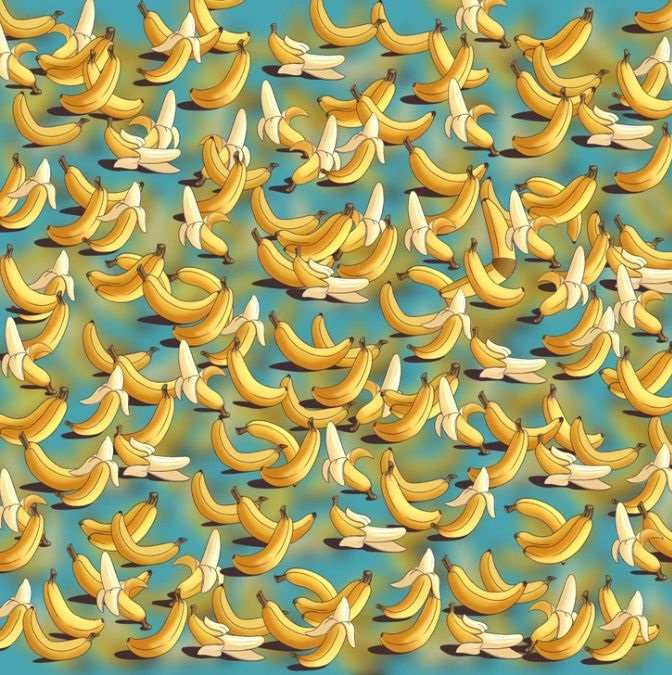 hidden optical illusions