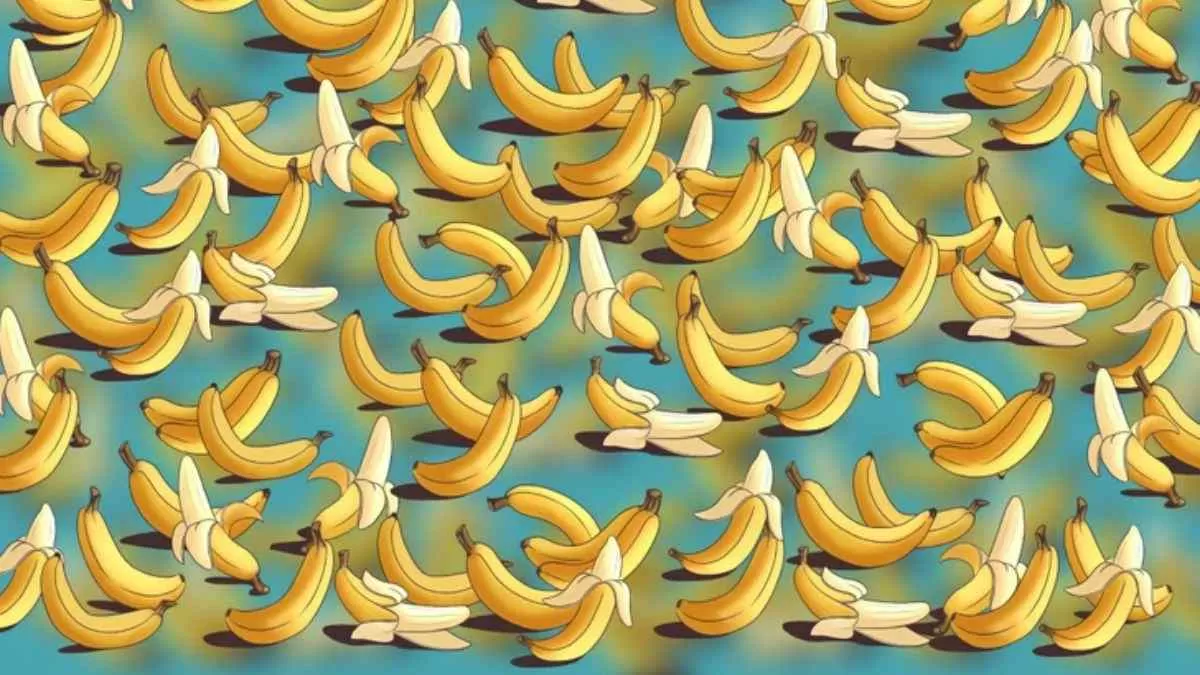 Can You Spot The Boomerang?