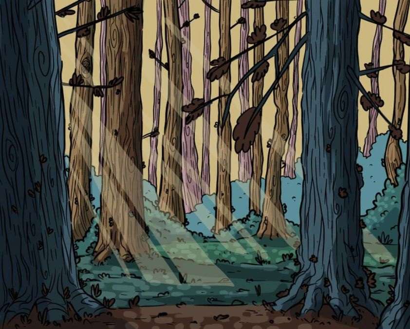 hidden optical illusions