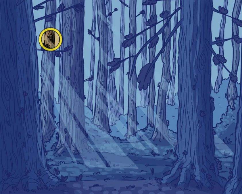 hidden optical illusions