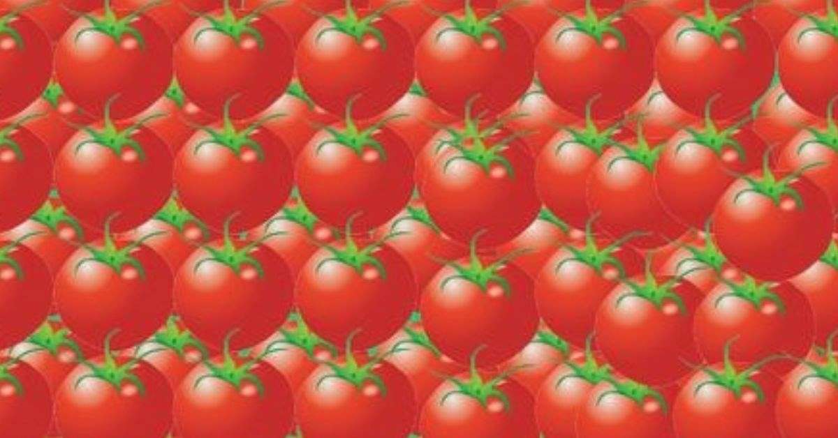 Brain Teaser: Only High IQ Can Discover the Hidden Apple in Tomatoes