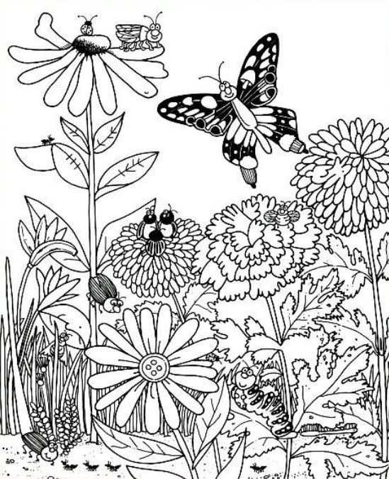 hidden optical illusions