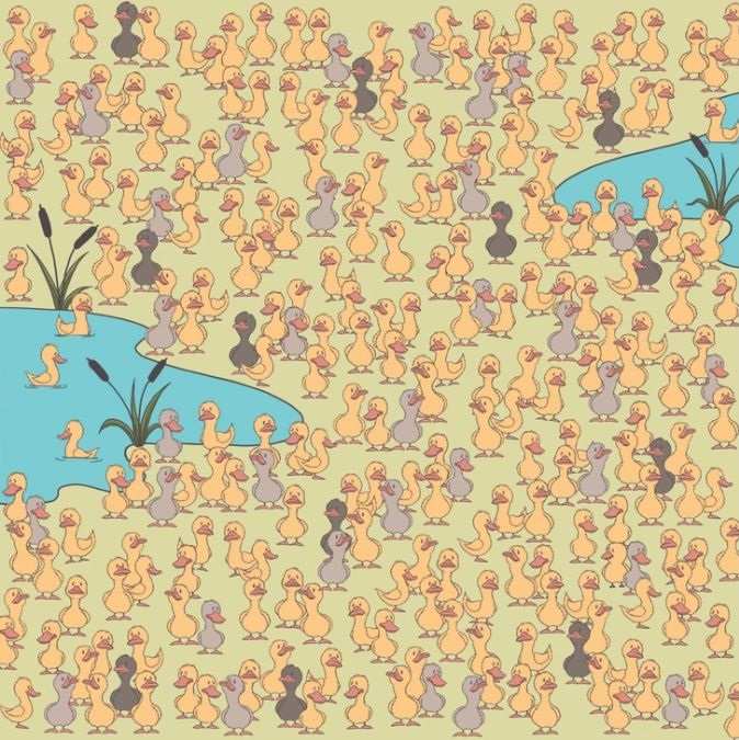 hidden picture puzzles