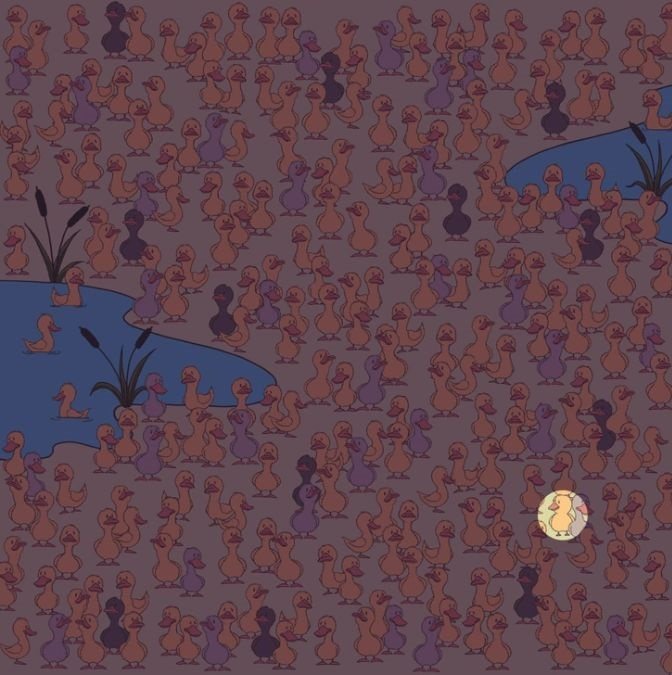 hidden picture puzzles