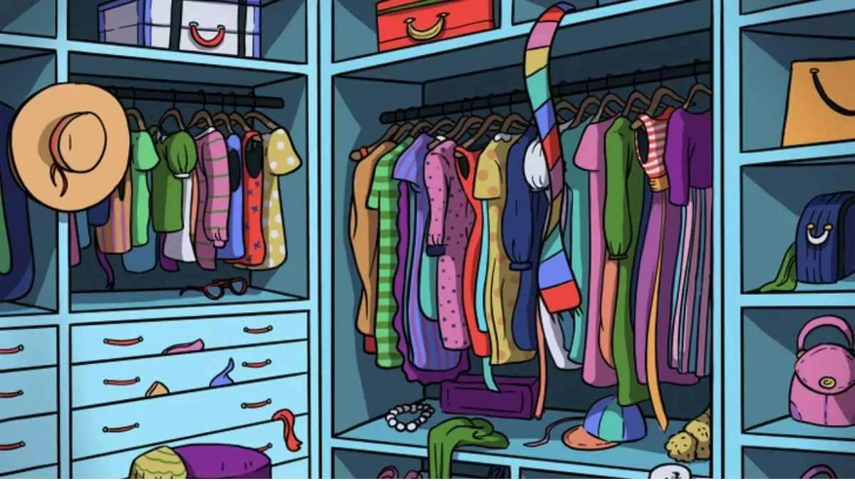 Find the cat.