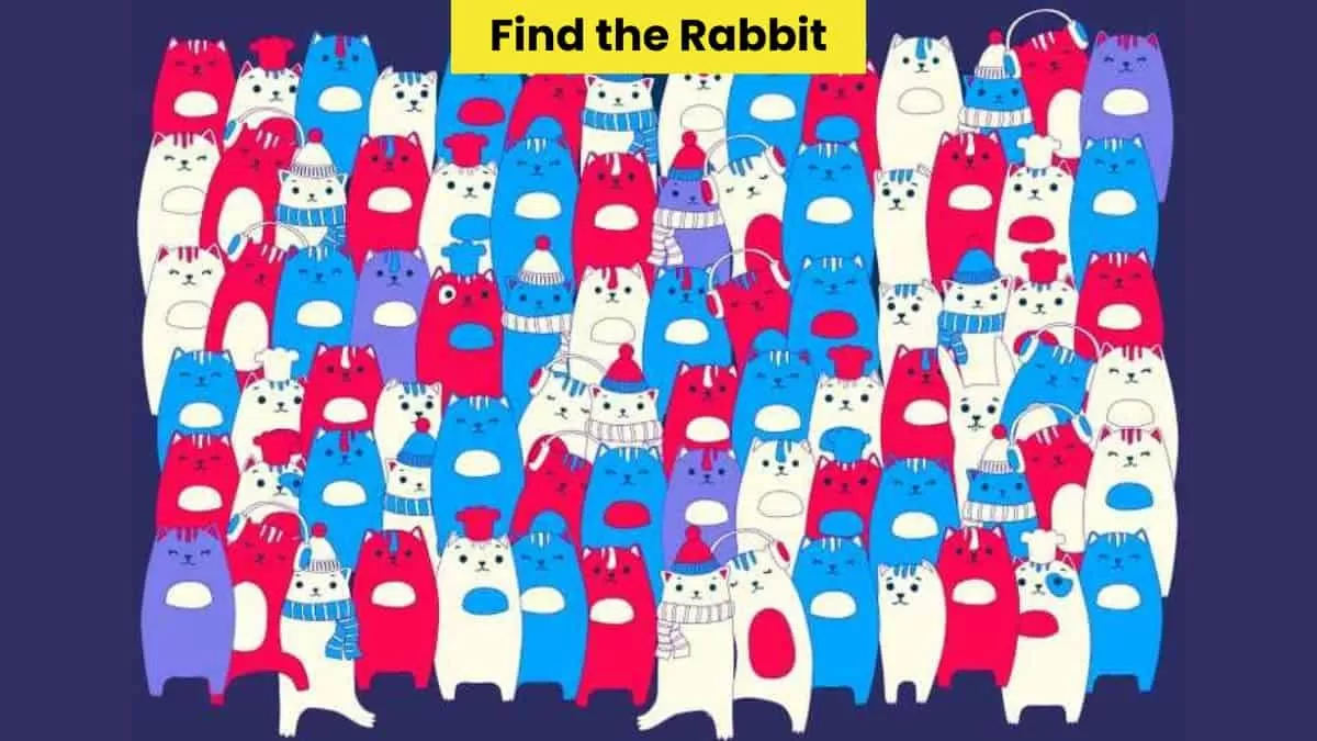 Find the rabbit in 6 seconds