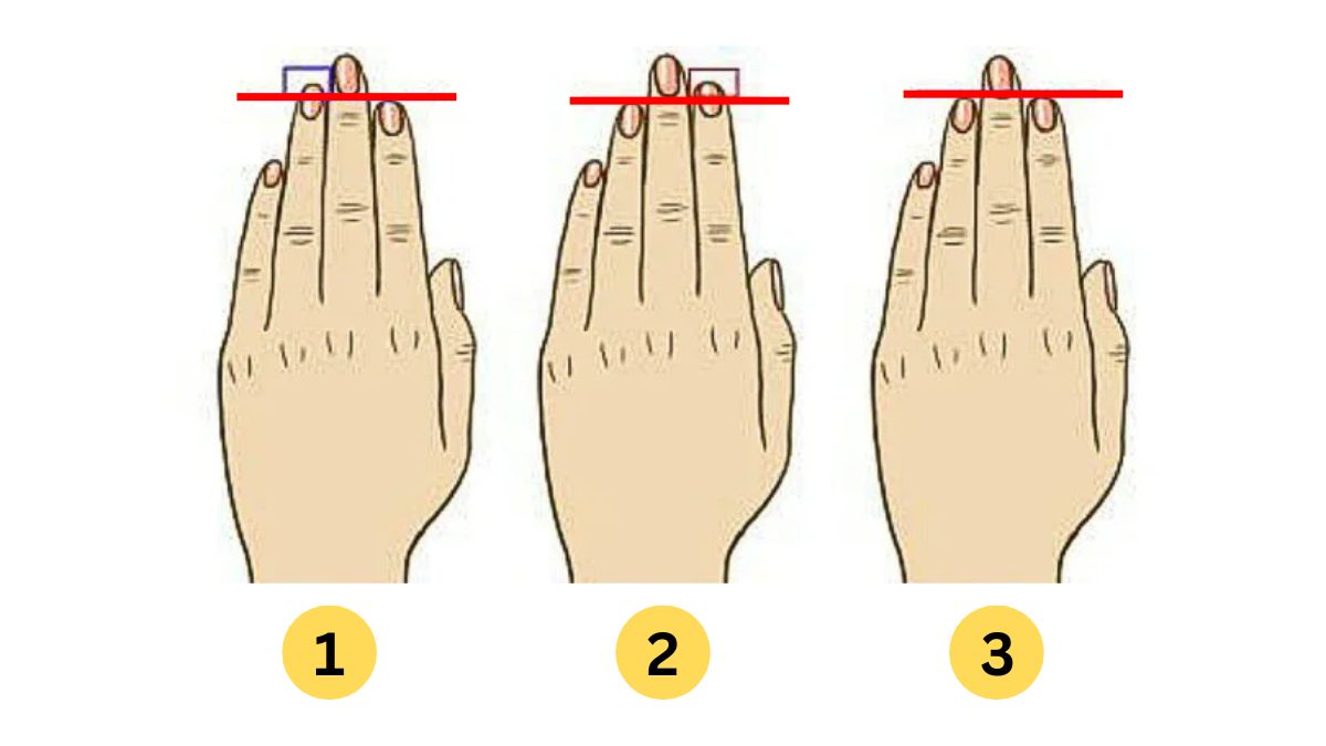 Personality Test Your Finger Length Reveals Your Hidden Personality Traits