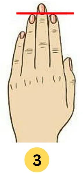 Ring Finger and Index Finger Same Length Personality