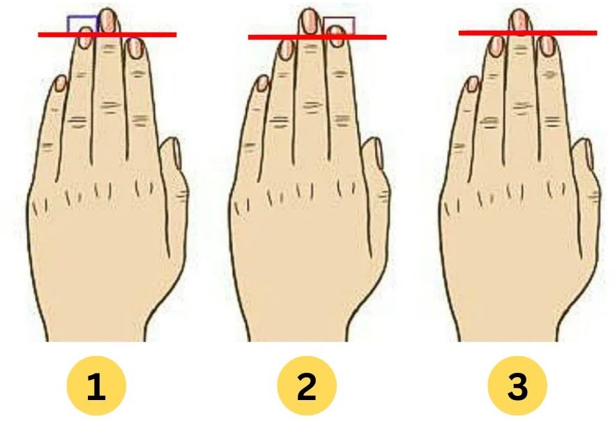 What Does Your Finger Length Say About You