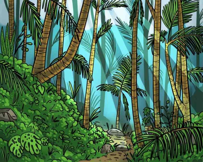 hidden optical illusions