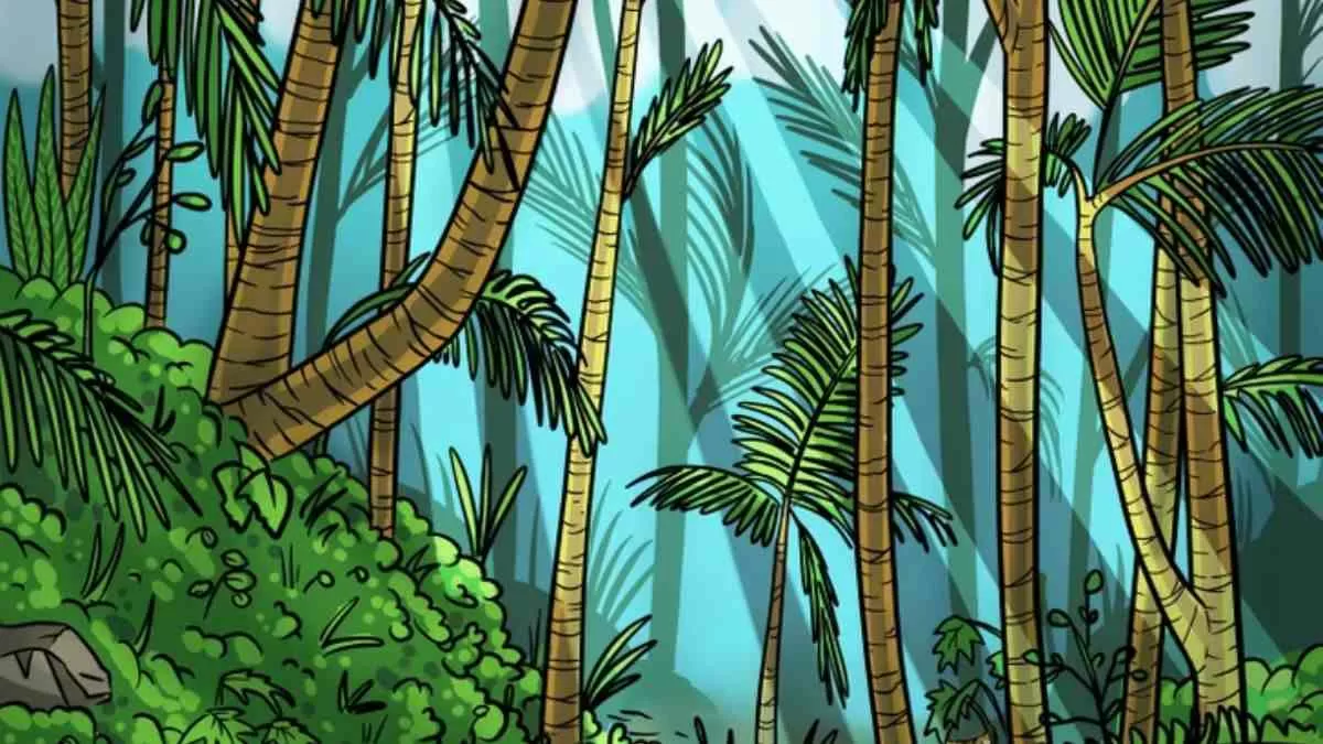 Find the tiger.