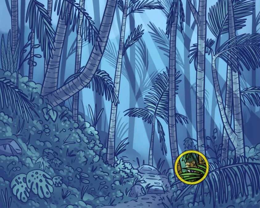 hidden optical illusions