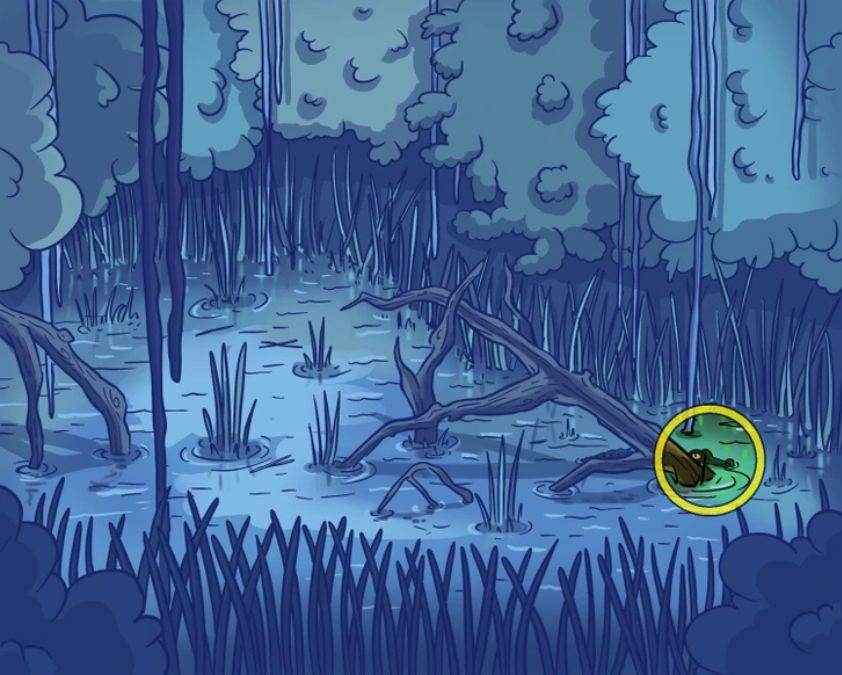 hidden optical illusions