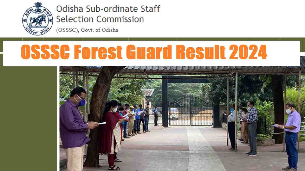 OSSSC Forest Guard Result 2024 OUT at osssc.gov.in Download Stock