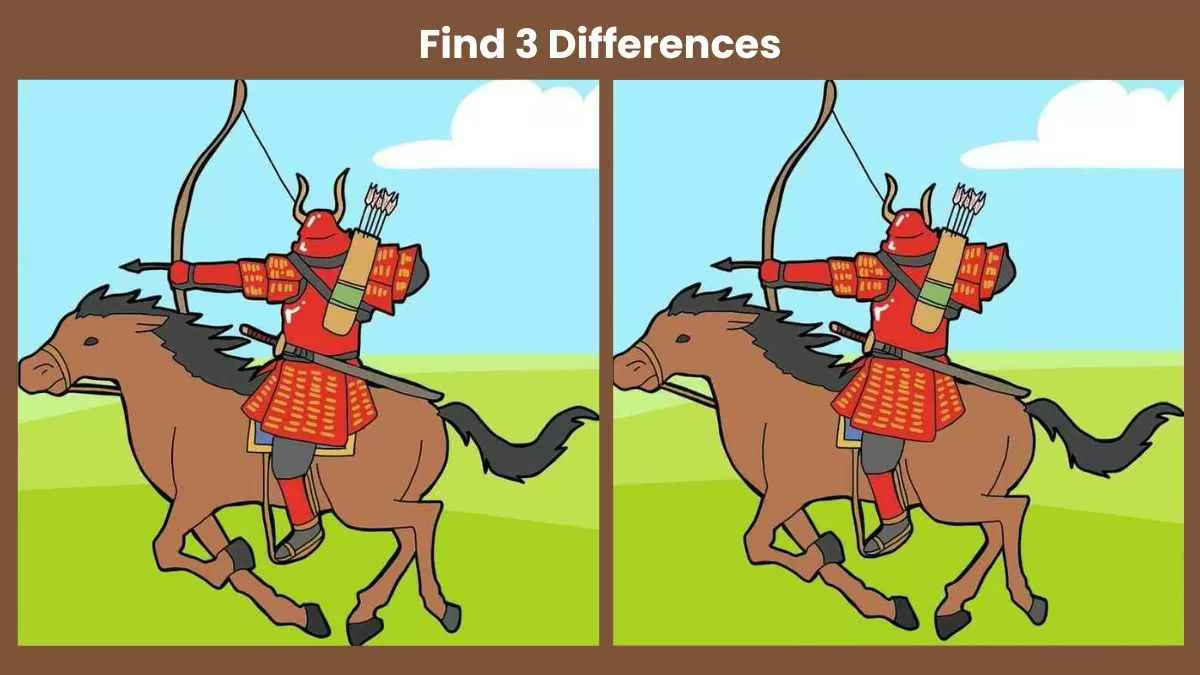 Find 3 differences in 18 seconds