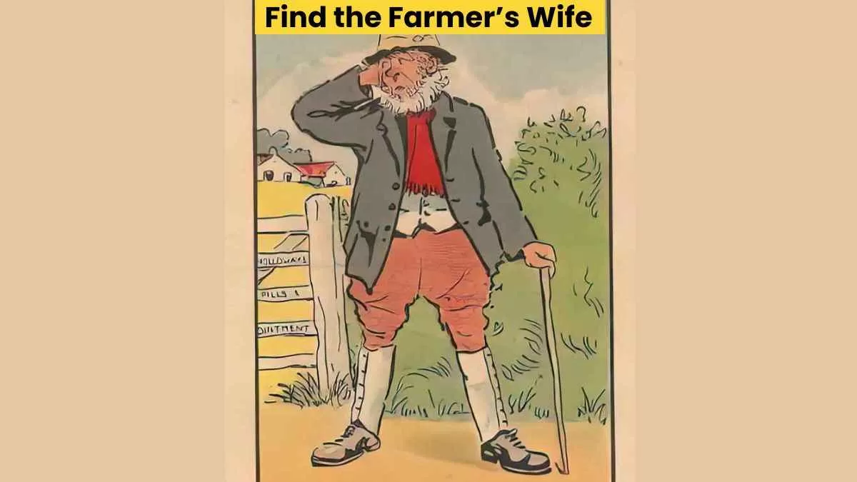 Find farmer's hidden wife