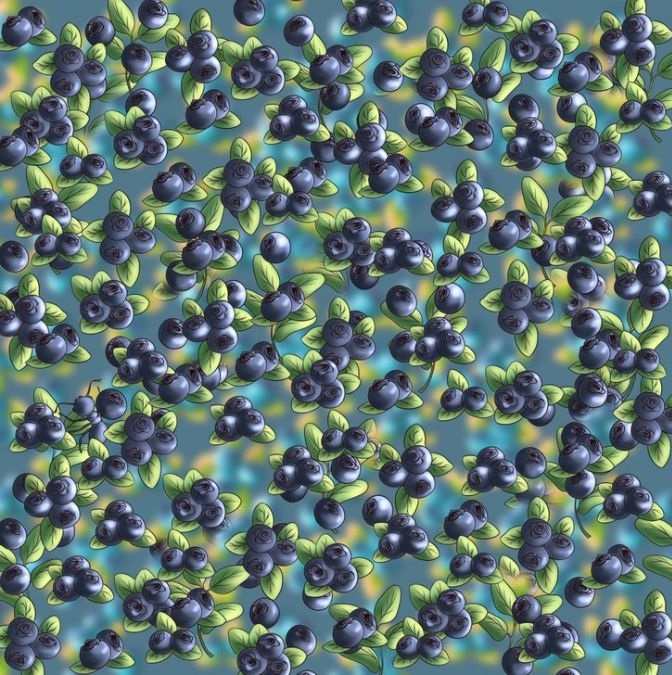 hidden optical illusions