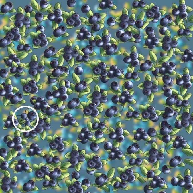 hidden optical illusions