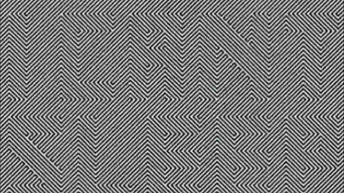Optical Illusion IQ Test: Can You Spot the Hidden Words in 8 Seconds?