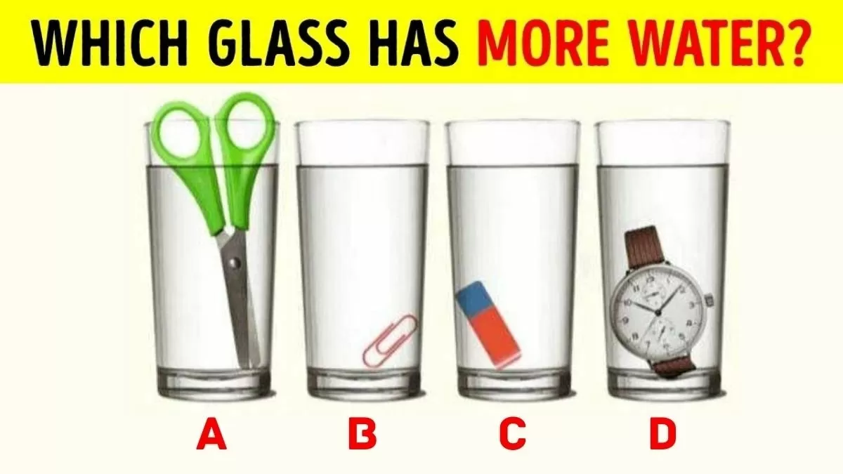 Which Glass Has More Water?