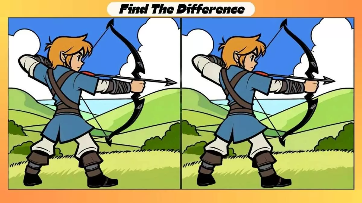 Find 3 Differences in 29 Seconds in This Archer Boy Picture