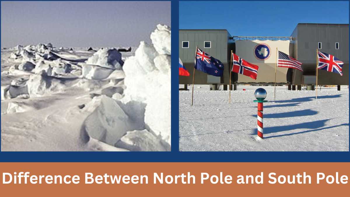  Difference Between North Pole and South Pole