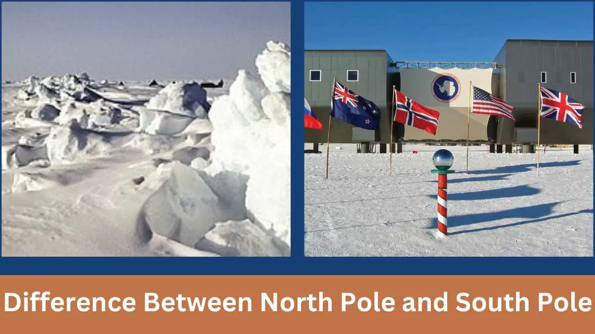 Difference Between North Pole and South Pole