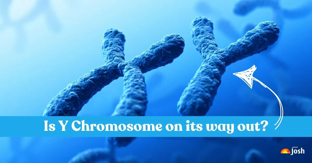 Is Y Chromosome shrinking?