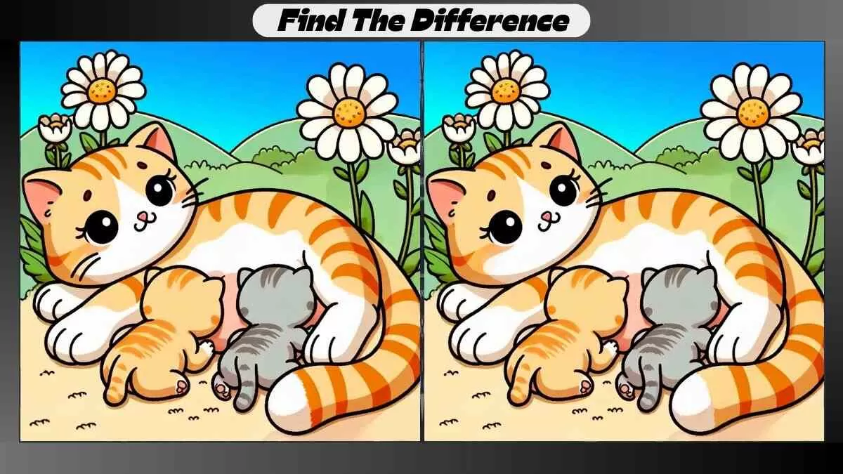 Find 3 Differences in 15 Seconds in This Mother Cat Picture