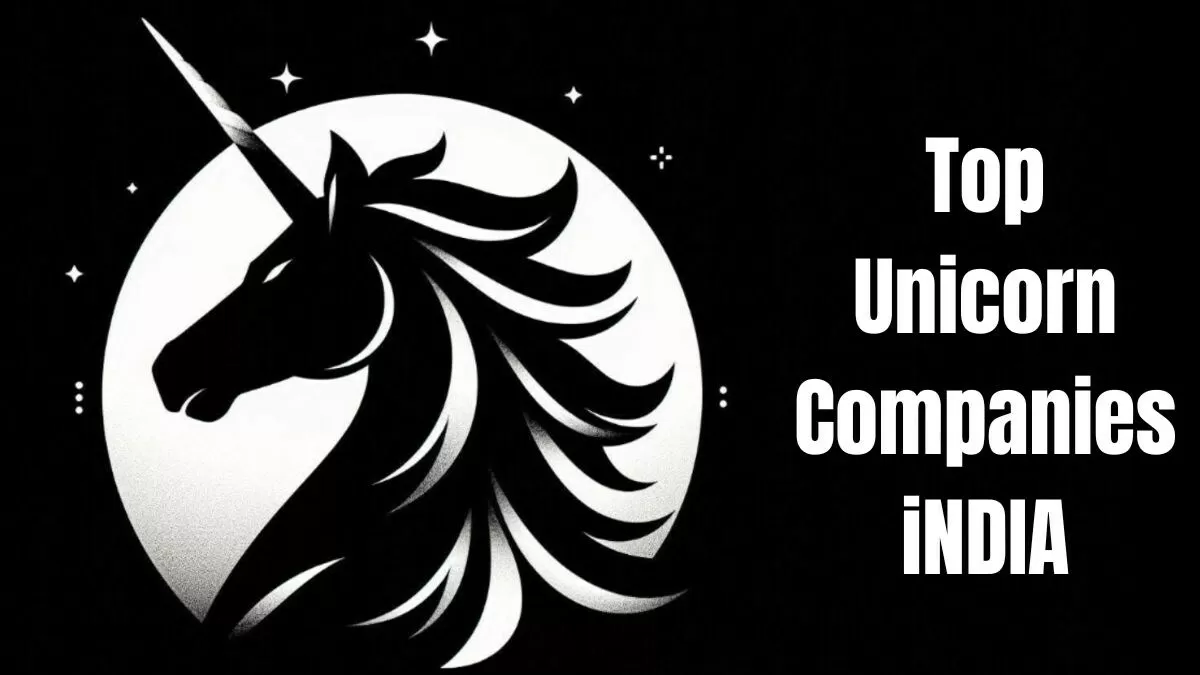 Indian Unicorn Startups 2024: List of Companies & Their Impact