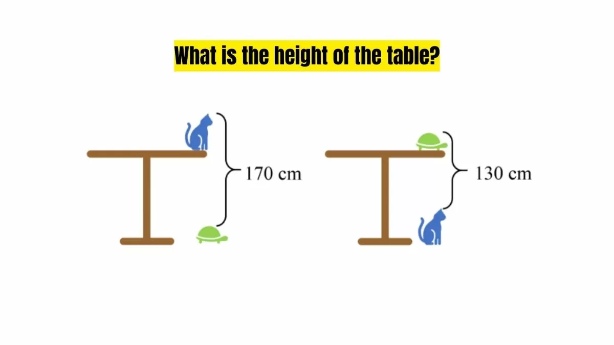 Find the Height of the Table.