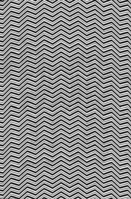 hidden optical illusions