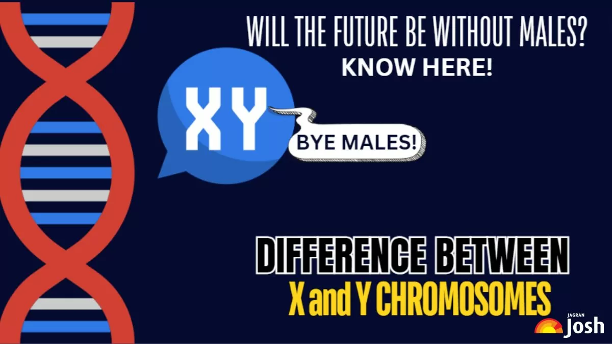 Will Male Y Chromosome Disappear in Future? Know here