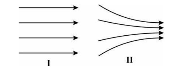 assignment for class 6 maths chapter 1